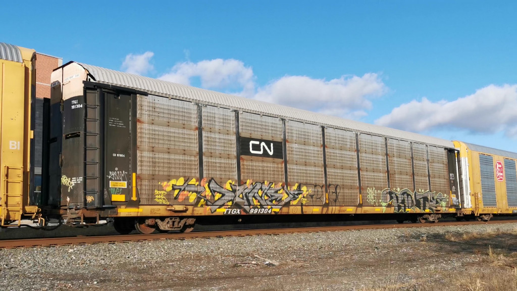 CN 97064 (Body) TTGX 991304 (Flat)